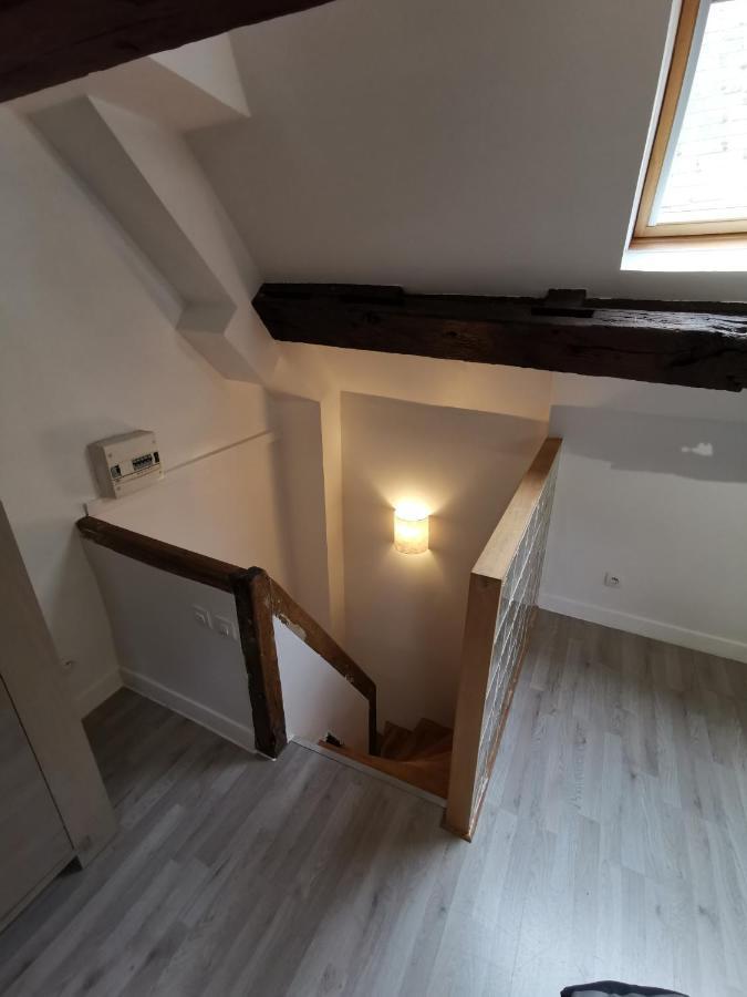 Appartement Hyper Centre Au Bord De Loire Orlean Zewnętrze zdjęcie