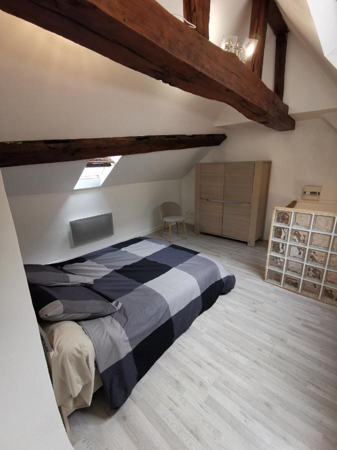 Appartement Hyper Centre Au Bord De Loire Orlean Zewnętrze zdjęcie